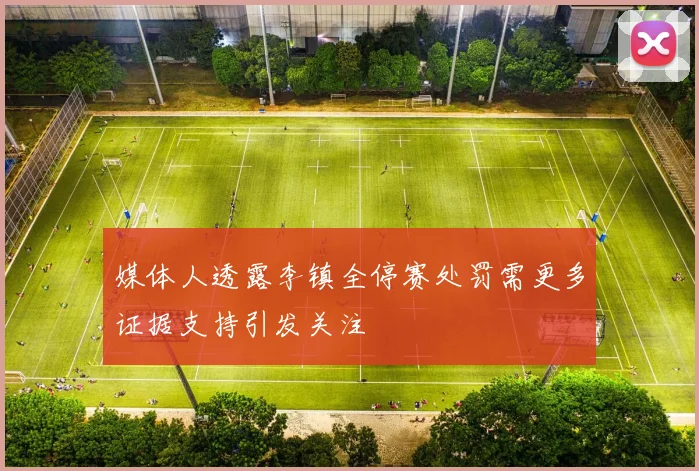 媒体人透露李镇全停赛处罚需更多证据支持引发关注